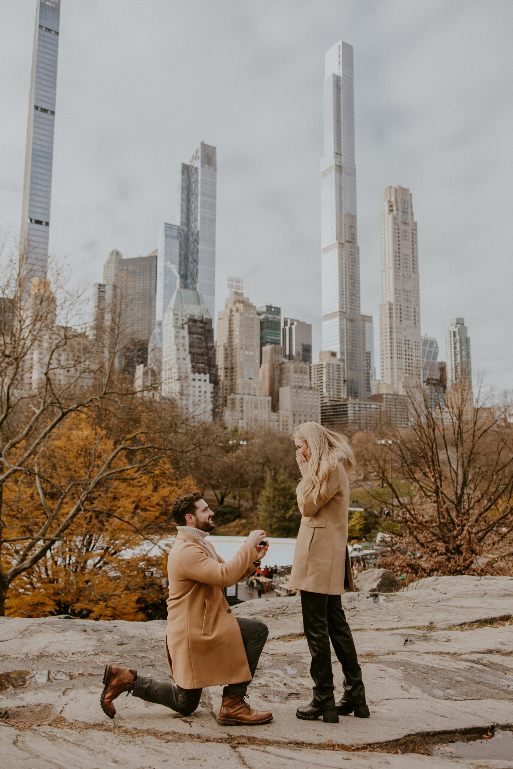Couple proposes on rock in Central Park